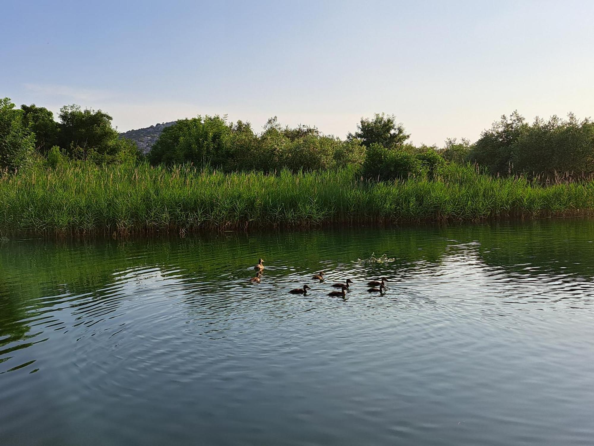 Apartmani Mostina Near River Ploce  Esterno foto